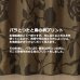 画像5: 【送料無料】カーテン 2級遮光 バラ柄 つた柄 プリント 日本製 175サイズ 8974 おしゃれ 薔薇 ばら 遮熱 断熱 保温 【受注生産A】